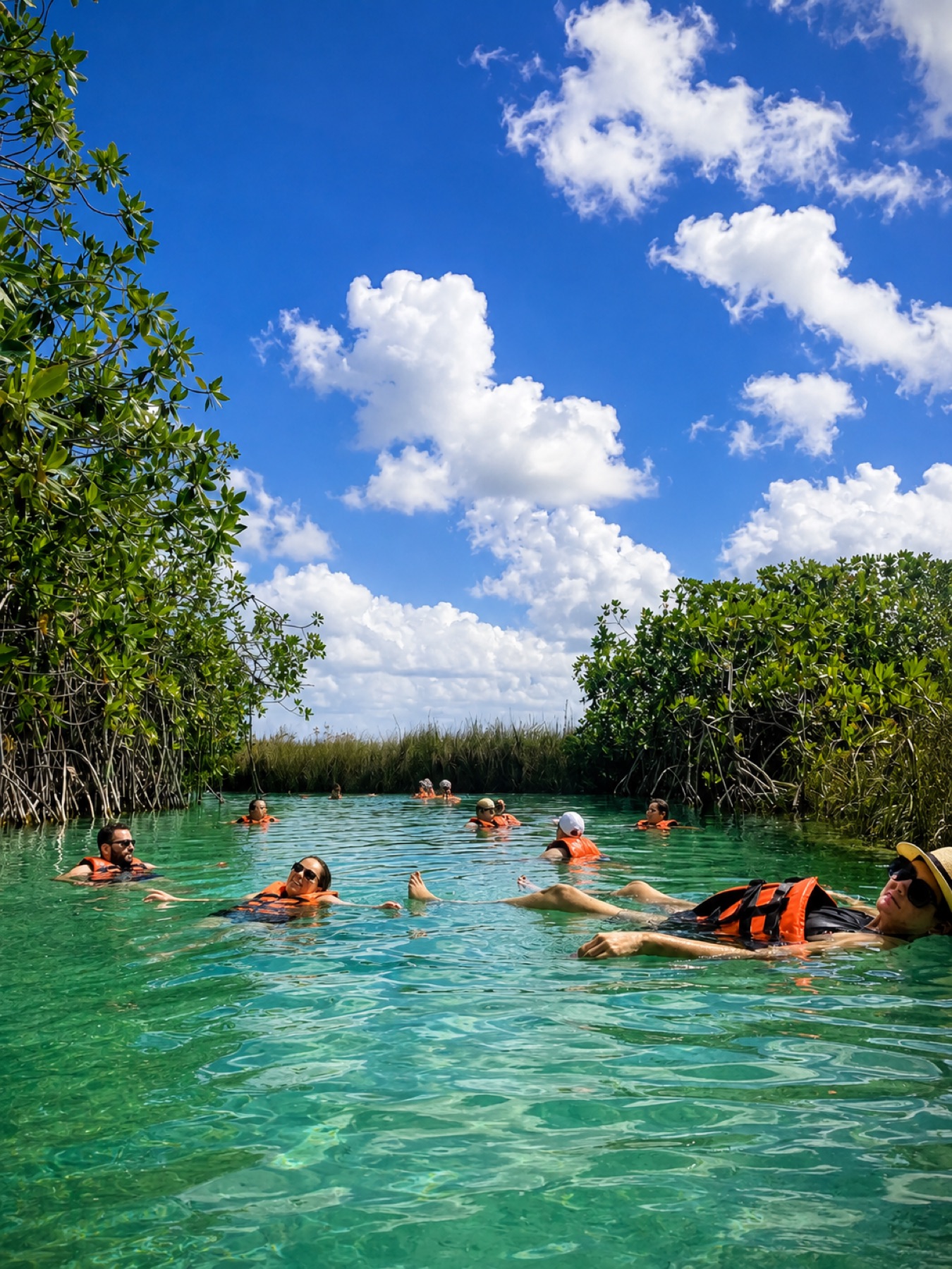 Cenote floating excursion